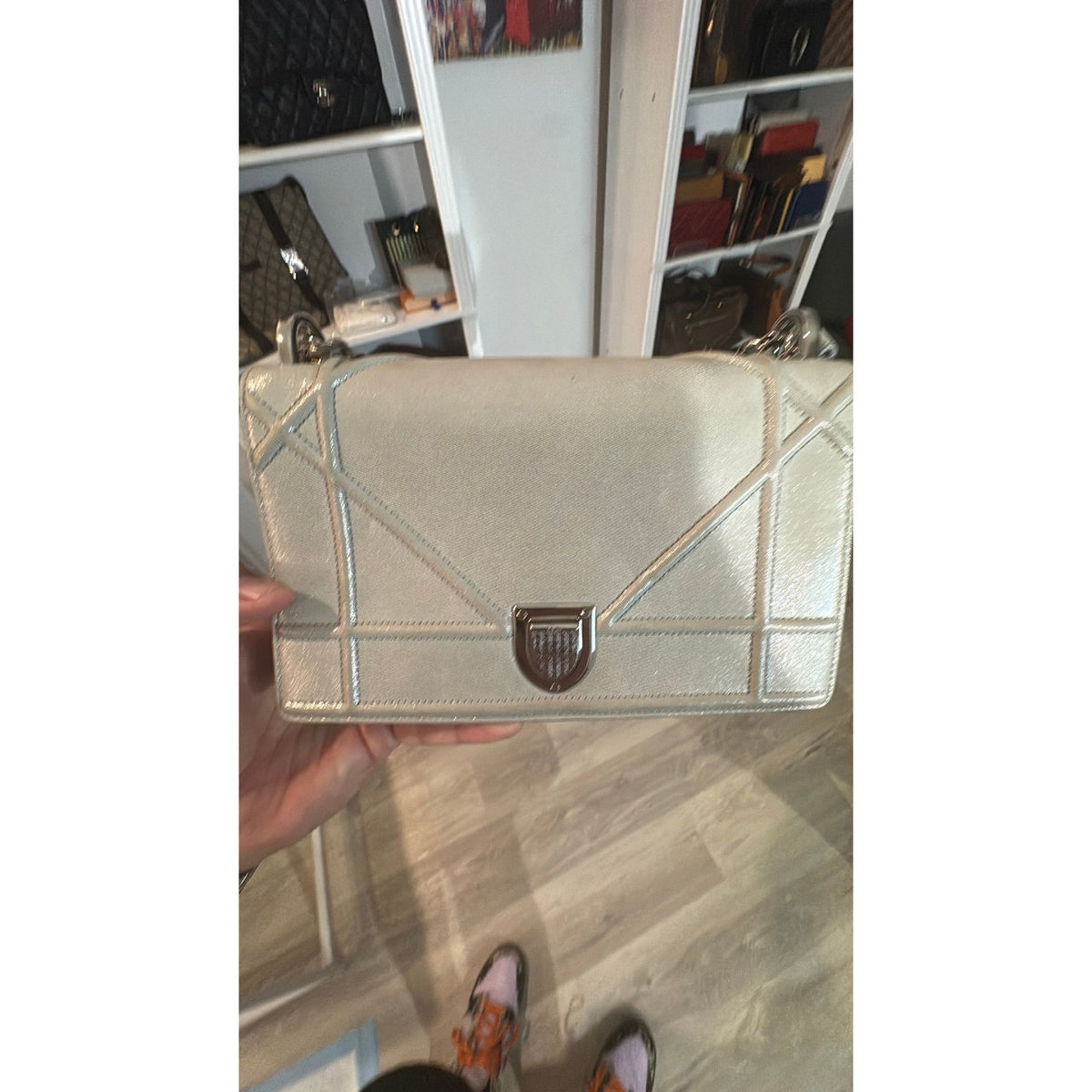 Dior Diorama Gray Leather