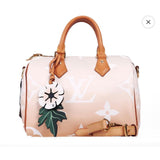 Louis Vuitton Speedy 25 Multicolor Coated Canvas Crossbody