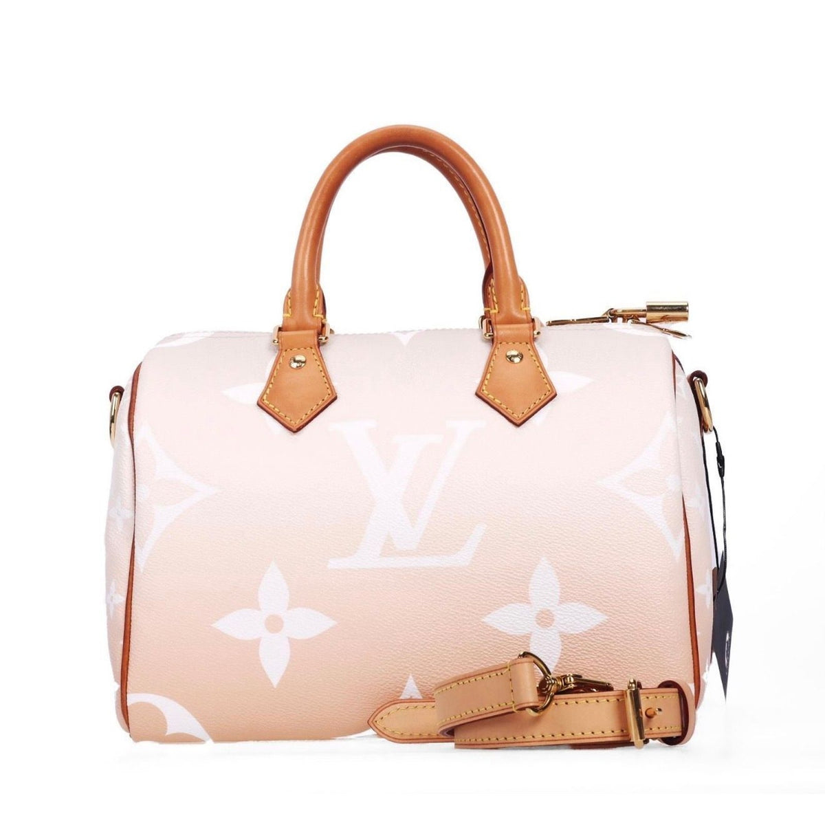 Louis Vuitton Speedy 25 Multicolor Coated Canvas Crossbody
